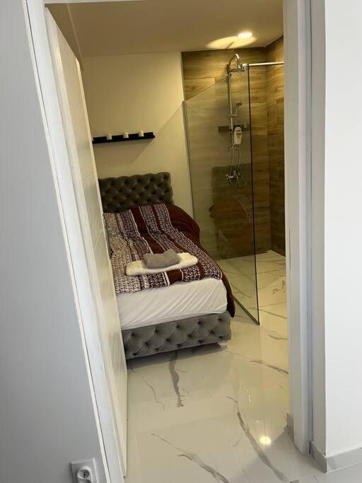 Apartment Lovely In Center . Belgrade